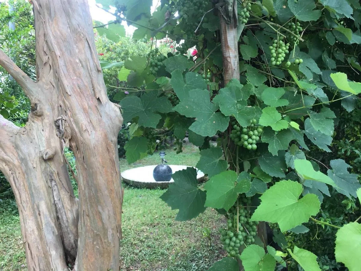 Bed & Breakfast Alla Rotonda Dai Santi Rovigo